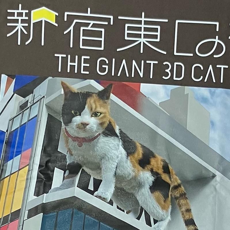 新宿東口の猫（ねこ様チャコール） - ホラーにプロレス！カンフーに