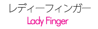 レディーフィンガー|lady finger