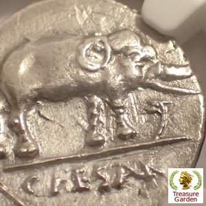 古代ローマコイン BC49-48 デナリウス銀貨 ユリウス・カエサル] 象 
