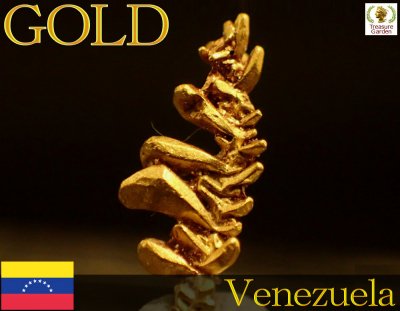 自然金 樹枝状結晶] ベネズエラ産 - アンティークコイン・宝石の 