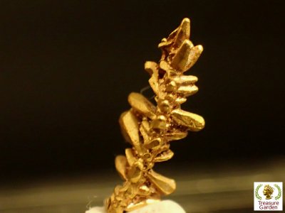自然金 樹枝状結晶] ベネズエラ産 - アンティークコイン・宝石の 