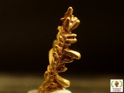 自然金 樹枝状結晶] ベネズエラ産 - アンティークコイン・宝石のトレジャーガーデン