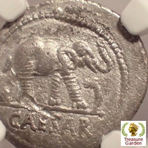 古代ローマコイン BC49-48 デナリウス銀貨 ユリウス・カエサル] 象