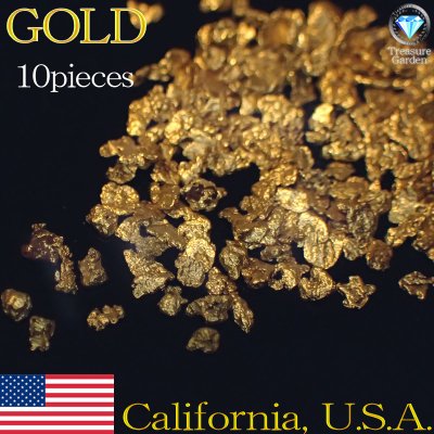 自然金 砂金] アメリカ カリフォルニア産 10粒セット 小～中サイズ 