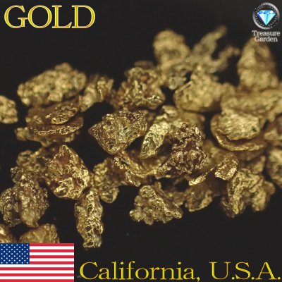 自然金 砂金] アメリカ カリフォルニア産 10粒セット 小～中サイズ 