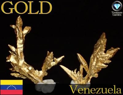 自然金 結晶] ベネズエラ産 no.8 - アンティークコイン・宝石の