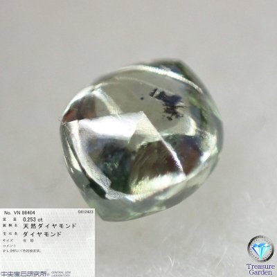 天然グリーンダイヤモンド 原石 二十四面体 0.253ct] 【中央宝石研究所ソーティング】 美結晶 24面体 -  アンティークコイン・宝石のトレジャーガーデン