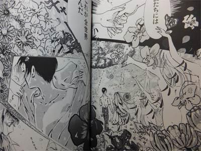 江戸川乱歩のパノラマ島奇談 長田ノオト 澱夜書房 Oryo Books 江戸川乱歩のパノラマ島奇談 長田ノオト 澱夜書房 Oryo Books