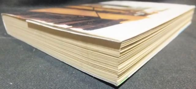 幸せのひこうき雲 安達哲 澱夜書房 Oryo Books 幸せのひこうき雲 安達哲 澱夜書房 Oryo Books