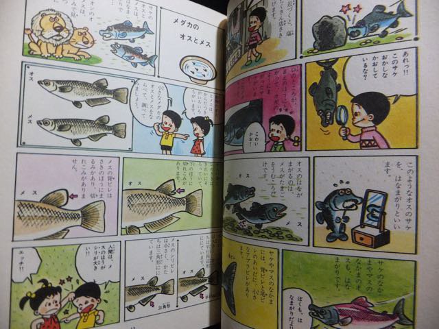 当店在庫してます！ 魚・貝のなかま☆学習漫画☆理科 カバー有り