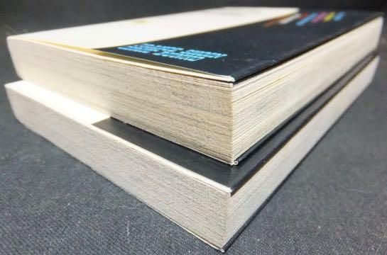 留美子先生大ピンチ!＋留美子奥様大ピンチ!』 いずみの杏理（杏里