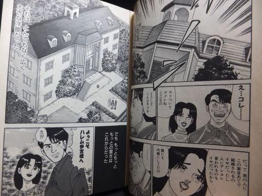 柳沢きみお20冊ハレム参宮橋他