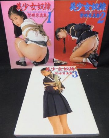 美少女紧缚 Amazon.co.jp: セーラー服美少女緊縛ＳＭ調教 第二巻 eBook ...