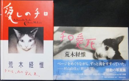 愛しのチロ＋チロ愛死（帯付）』 荒木経惟 - 澱夜書房::oryo-books::