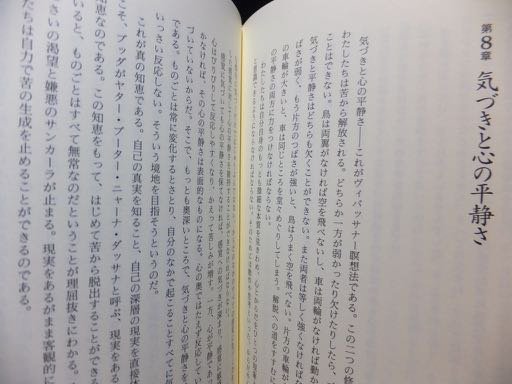 ゴエンカ氏のヴィパッサナー瞑想入門 豊かな人生の技法 帯付 澱夜書房 Oryo Books