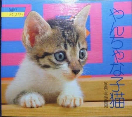 猫のアルバム やんちゃな子猫』 写真・本多信男 - 澱夜書房::oryo-books::