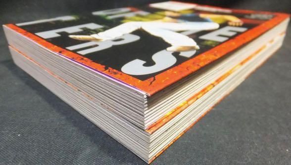 龍虎の拳2』全2巻 天獅子悦也/石井ぜんじ - 澱夜書房::oryo-books:: 龍虎の拳2』全2巻 天獅子悦也/石井ぜんじ - 澱夜書房::oryo-books::