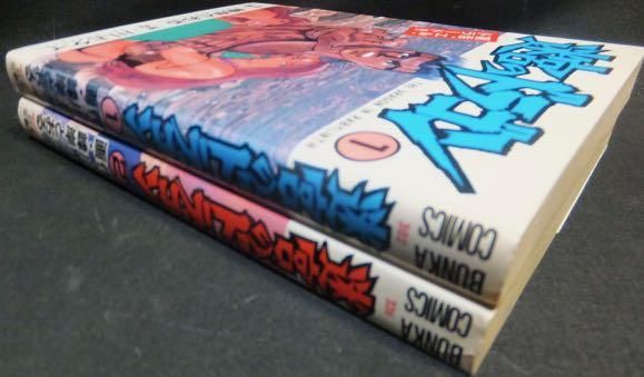 希少　レア　ヴィンテージ 迷宮のドラゴン　峰岸とおる　川上けい　カルト　サブカル 迷宮のドラゴン』全2巻 峰岸とおる/川上ケイ - 澱夜書房::oryo