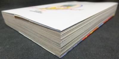 ブルーベリードール』（新装丁） 石川賢 - 澱夜書房::oryo-books::