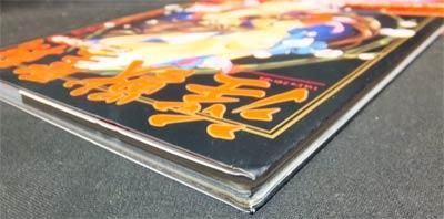 淫獣聖戦~陰の書~シークレットファイル』（帯付） - 澱夜書房::oryo 