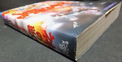 神の獣』 巴啓祐 - 澱夜書房::oryo-books::