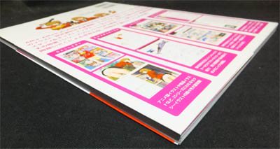 逆輸入 ファンブック アイカ FANBOOK COMPLETE AIKA 99ん アート