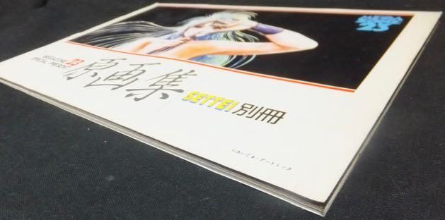 大人女性の SETTEI別冊 メガゾーン23原画集』 - 澱夜書房::oryo-books:: アート・デザイン・音楽