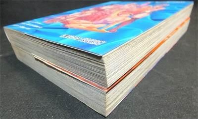 PARADISELADY パラダイスレディ』全2巻 かきざき和美 - 澱夜書房