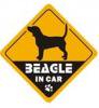 <img class='new_mark_img1' src='https://img.shop-pro.jp/img/new/icons48.gif' style='border:none;display:inline;margin:0px;padding:0px;width:auto;' />Beagle in Car ƥå㾮