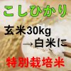 令和４年産米  減農薬  特別栽培米こしひかり  玄米  30kg → 白...