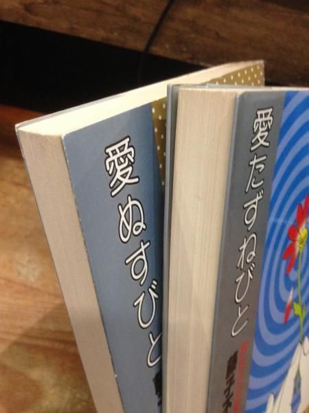 愛たずねびと 愛ぬすびと - 古書ビビビ ショッピング 孤高の