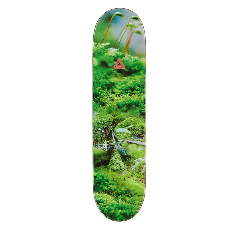 PALACE SKATEBOARDS(パレス スケートボード) |PALACE
