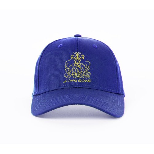 <img class='new_mark_img1' src='https://img.shop-pro.jp/img/new/icons8.gif' style='border:none;display:inline;margin:0px;padding:0px;width:auto;' />LIMOSINE - SNAKE PIT HAT (True Blue/Neon Yellow)ξʲ