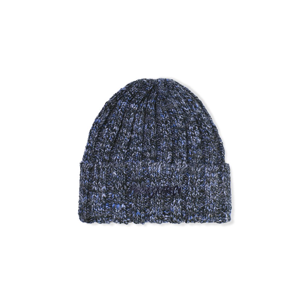 POLAR SKATE CO(ポーラースケートカンパニー) |POLAR SKATE CO. - ALI BEANIE (Blue)