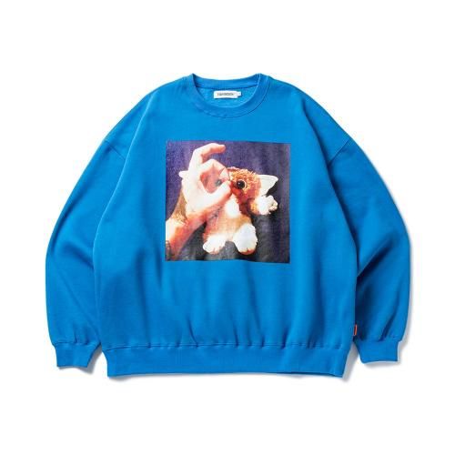 https://img08.shop-pro.jp/PA01038/428/product/183977247_th.jpg?cmsp_timestamp=20241213151316ξʲ