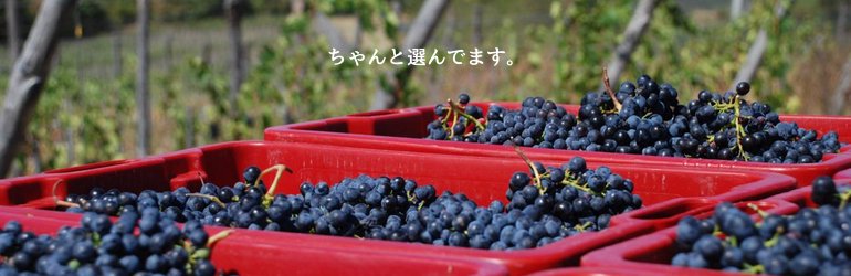 イタリアワイン通販［にしのよしたか］大阪のイタリア専門ワイン販売