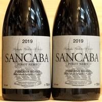 Pinot Nero 2019 Sancaba - ［にしのよしたか］大阪のイタリアワイン