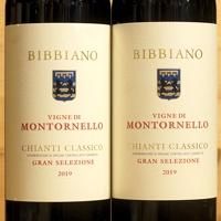 Chianti Classico Gran Selezione Vigna di Montornello 2019