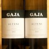 Alteni di Brassica 2022 Gaja 