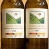 Roero Arneis 2023 Matteo Correggia 