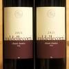 Chianti Classico 2021 Valdellecorti 