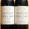Dogliani DOCG Maestra 2016 Gillardi 