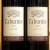 Caburnio 2016 Tenuta Monteti 