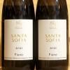Fiano Santa Sofia 2021 Cantina del Taburno 