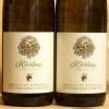 Riesling 2018 Abbazia di Novacella 