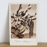 チェコ1940-50年代のポストカード（未使用）　グラスに活けた花