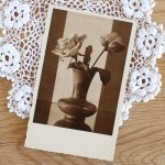 チェコ1940-50年代のポストカード（未使用）　ガラスの花瓶