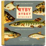 「Ryby rybky rybicky」1963年　Antonin Pospisil アントニーン・ポスピーシル