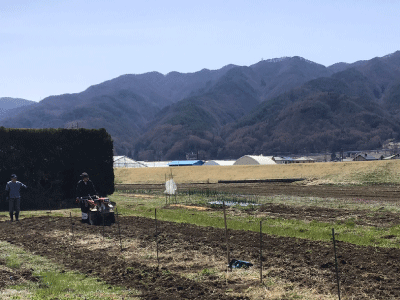 ホップ栽培・収穫の様子1