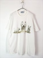 古着 00s 犬 ホワイトテリア アニマル リアル グラフィック Tシャツ L 古着 - 古着 通販 ヴィンテージ 古着屋 Dracaena ドラセナ